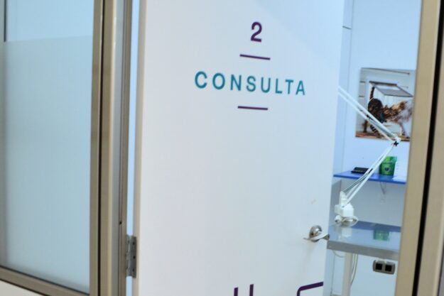 Consulta 2 d'Anima'ls