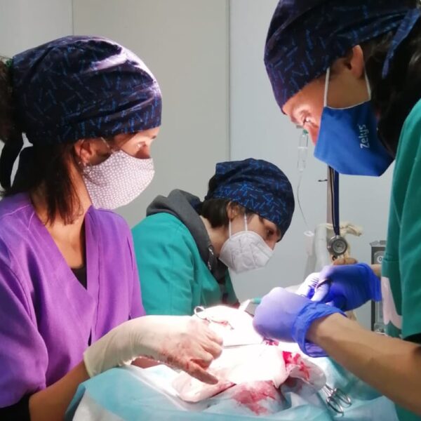 Cirurgia d'urgència