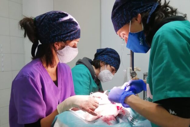 Cirurgia d'urgència