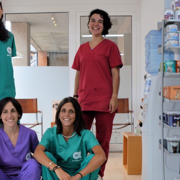 Les persones d'Anima'ls