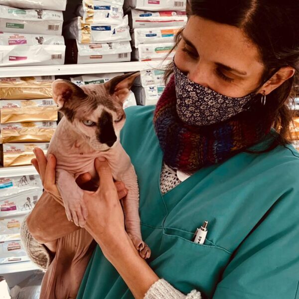 Cura de petits animals