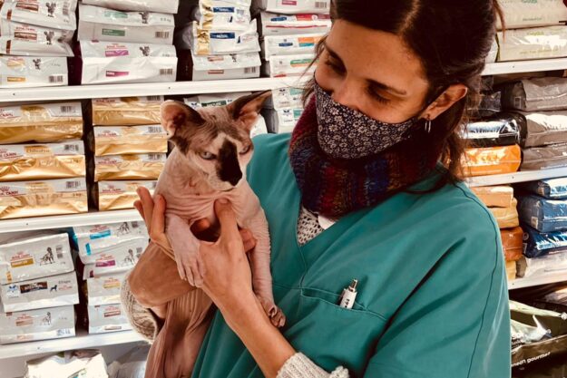 Cura de petits animals