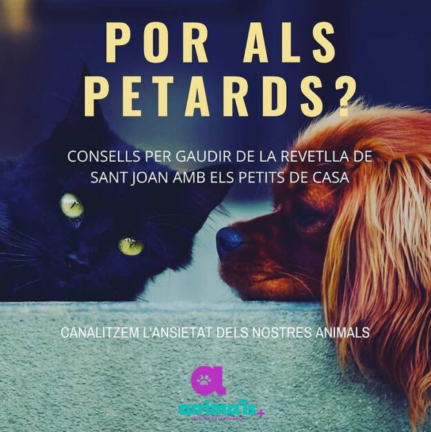 Petards i animals
