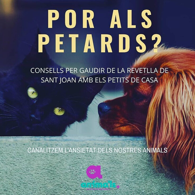 Petards i animals