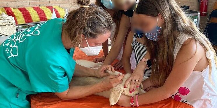 Campanya vacunació a Rellinars